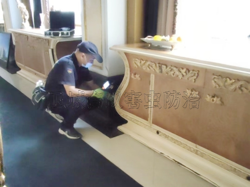 良井白蟻防治公司電話-惠州滅殺白蟻方法技術精湛